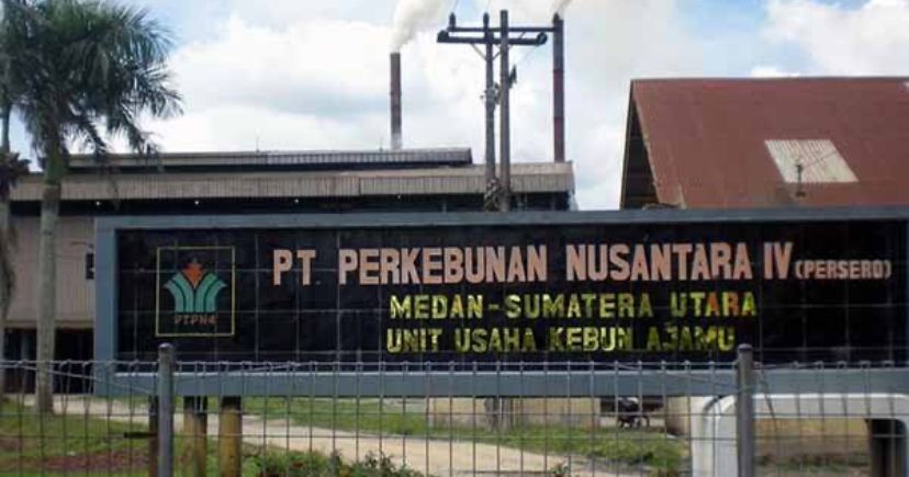 Badan Pengawas PTPN IV Unit Ajamu Diminta Usut Tuntas Dugaan Pencurian Buah Sawit Dan Sejumlah Security Gunakan Narkoba