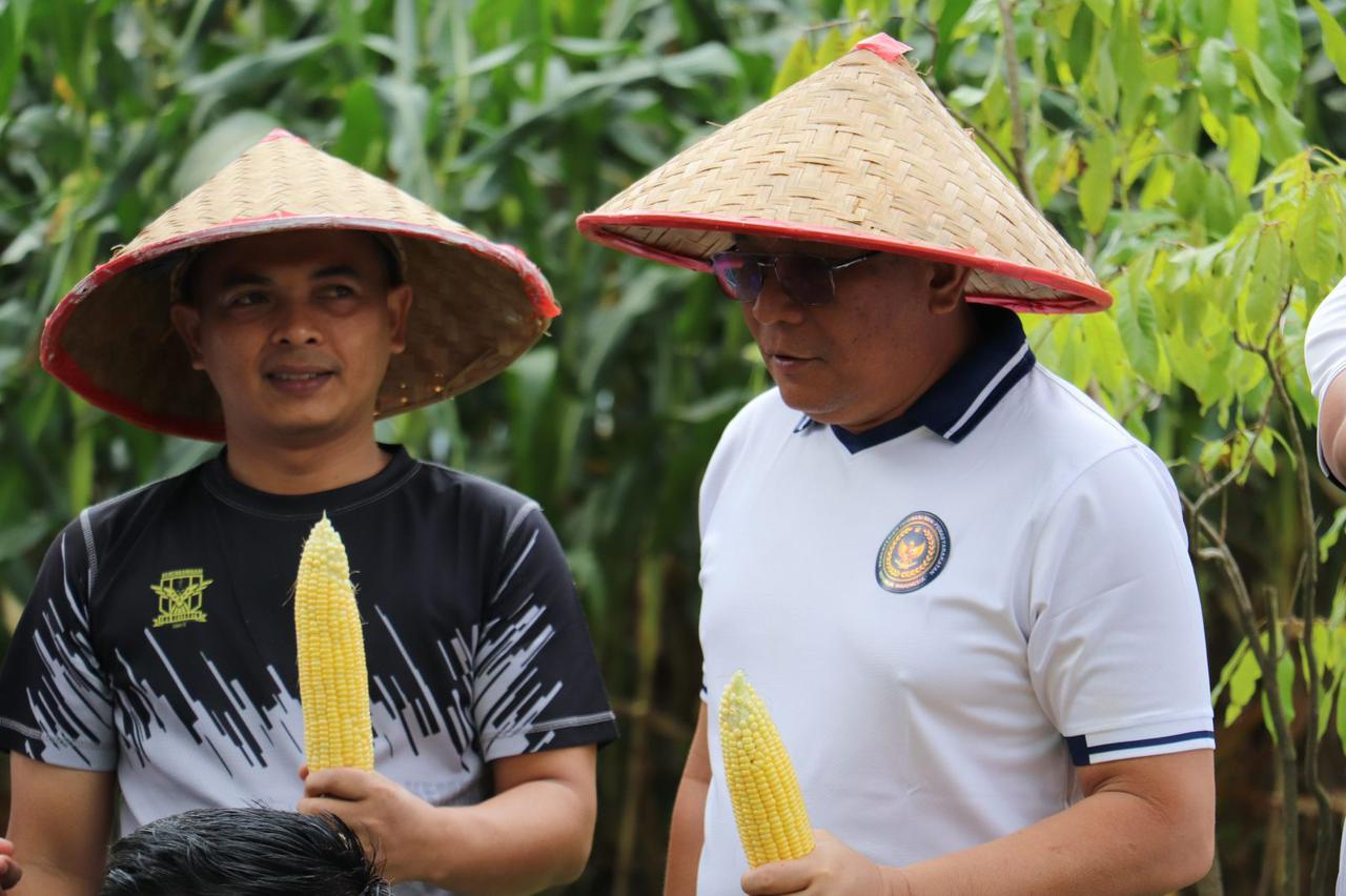Wujudkan Program Ketahanan Pangan, Lapas Rantau Prapat Panen Jagung 