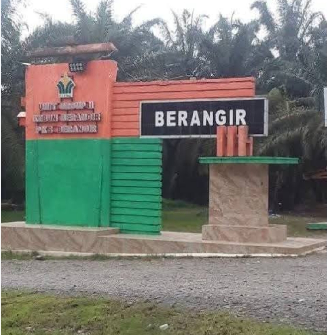 Maraknya Pencurian TBS di PTPN IV Kebun Berangir, Diminta Papam Bertindak,Tangkap Pencuri Skala Besar