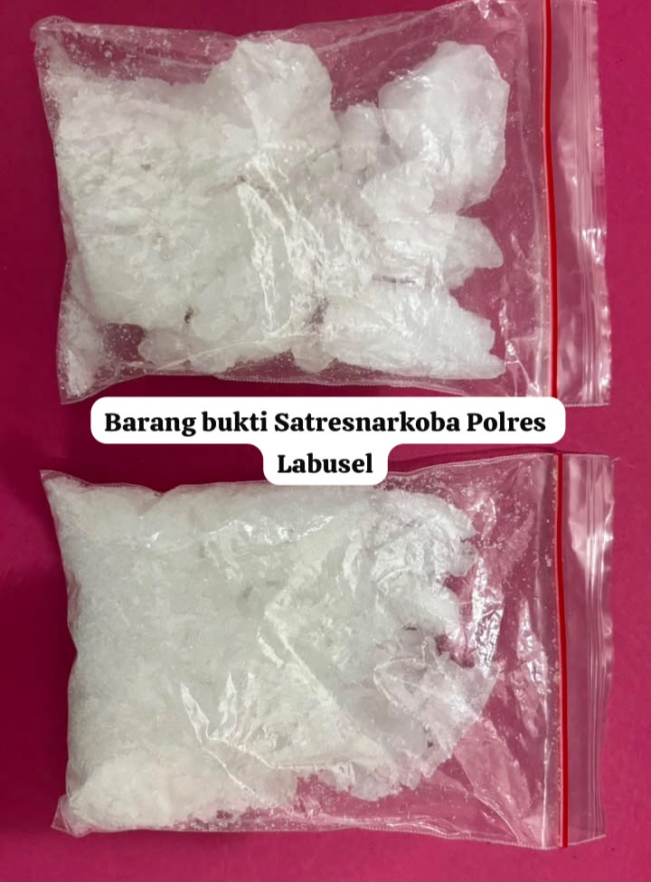 Satresnarkoba Polres Labusel Ringkus 2 Pengedar, Sita Sabu 206,78 Gram di Torgamba