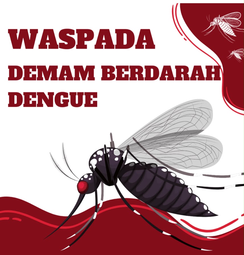 Waspada! Kasus Demam Berdarah Gencar di Kampung Berangir Labura, diminta Pemkab Labura Bertindak