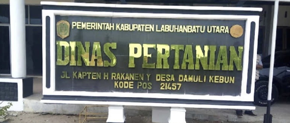Dinas Pertanian Labura Diminta Cek dan Verifikasi ke PTPN IV Kebun Brangir Soal Buah Mentah Yang Dipanen